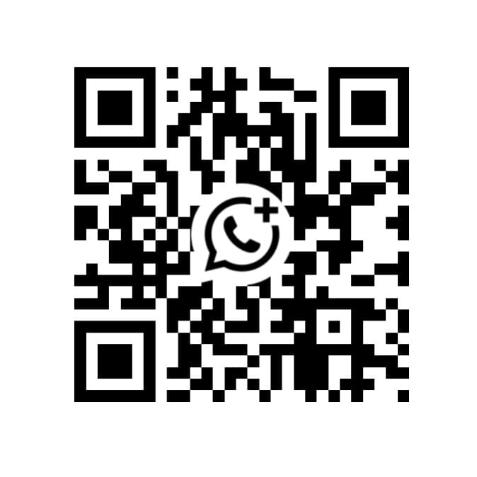 Lintin Metals fastener manufacturer spring nut channel nut stamping
